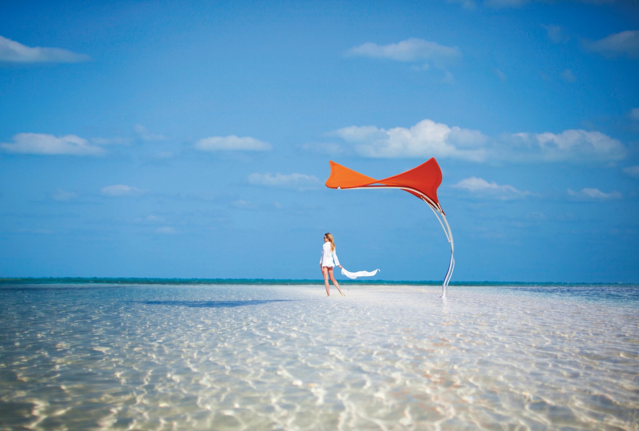 Stingray Shade Sculpture
